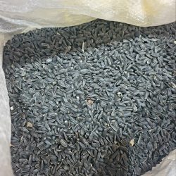 SİYAH ÇEKİRDEK 1 KG