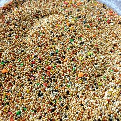 KAREKERLİ KARIŞIK MUHHABET YEMİ  1 KG