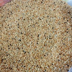 MUHHABET KARIŞIK 1 KG